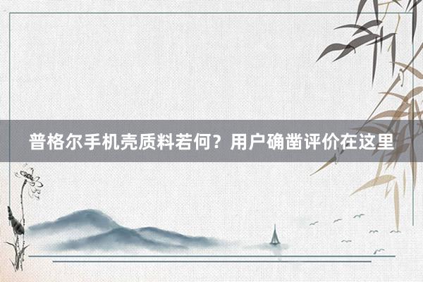 普格尔手机壳质料若何？用户确凿评价在这里